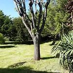 La Cibulle