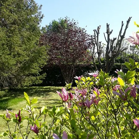 La Cibulle Maille (Vendee)