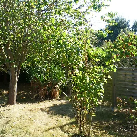 La Cibulle Maille (Vendee)