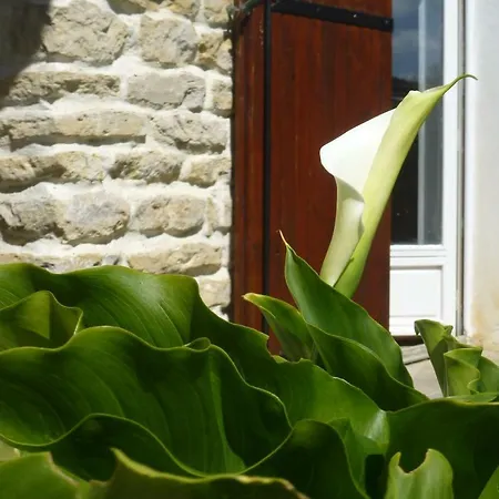 La Cibulle Tatil Evi Maille (Vendee)