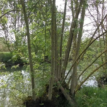Casa vacanze La Cibulle Maille (Vendee)