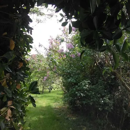 La Cibulle Casa vacanze *