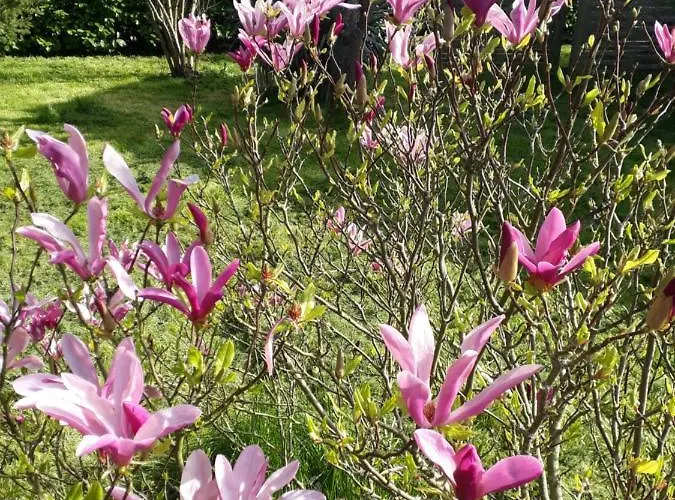 Hébergement de vacances La Cibulle *