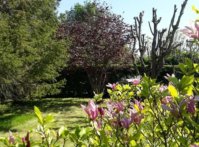 La Cibulle Maille (Vendee)