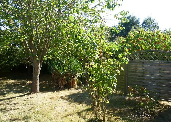 La Cibulle Maille (Vendee)