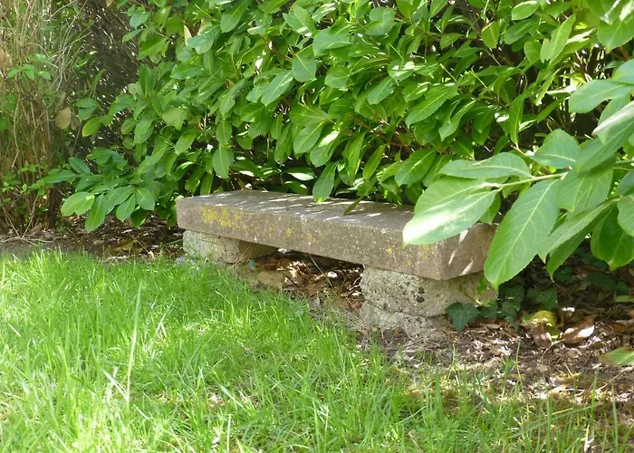 La Cibulle Hébergement de vacances *