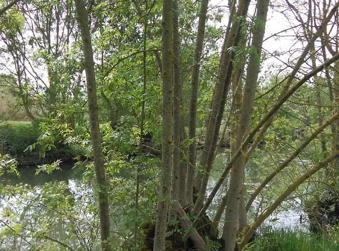 Hébergement de vacances La Cibulle Maille (Vendee)