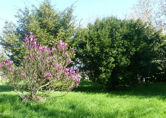 La Cibulle Hébergement de vacances *